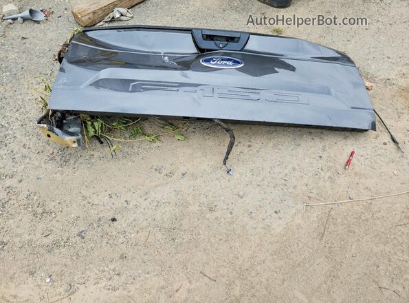 1FTEW1C55KKC82290 2019 FORD F150 Gray ძრავის განყოფილების ხედი