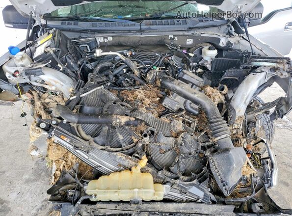 1FTEW1C56LFA27562 2020 FORD F150 Silver Widok wnętrza z tyłu
