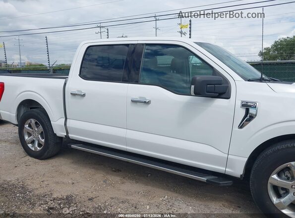 1FTEW1C59MFC46226 2021 FORD F150 Белый Вид задней части салона