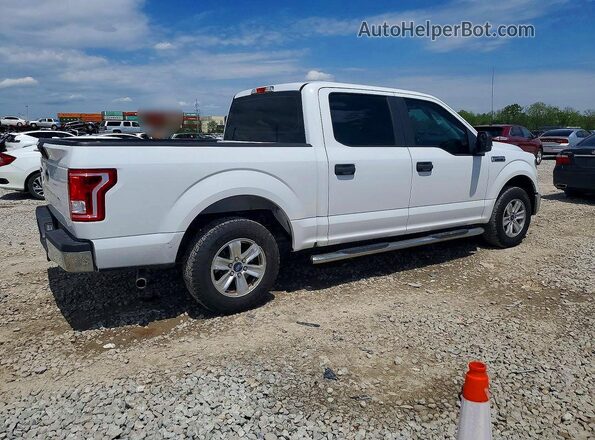 1FTEW1C81HFB86958 2017 FORD F150 White Հետևի աջ