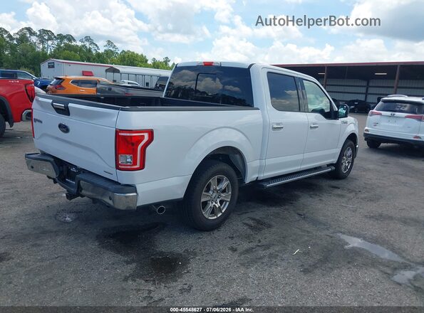 1FTEW1C82GKD02514 2016 FORD F150 White Հետևի աջ