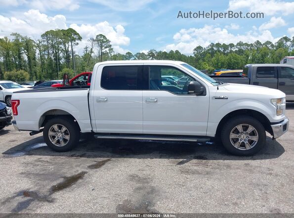 1FTEW1C82GKD02514 2016 FORD F150 White Սալոնի հետևի տեսք