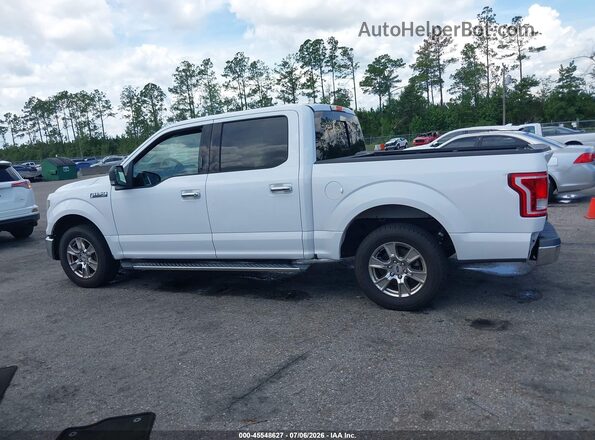 1FTEW1C82GKD02514 2016 FORD F150 White Սալոնի 360 աստիճան տեսք