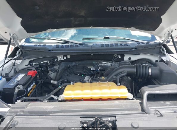 1FTEW1C82GKD02514 2016 FORD F150 White Հետևի տեսք