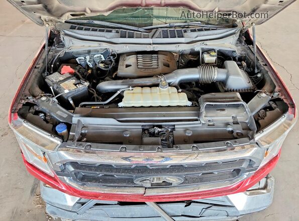 1FTEW1C85MKD99509 2021 FORD F150 Red Вид задньої частини салону