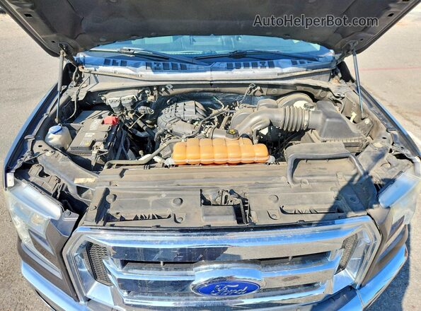 1FTEW1C88GKD58179 2016 FORD F150 Серый Вид задней части салона