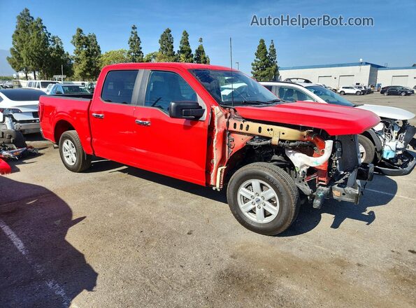 1FTEW1C88PKE57939 2023 FORD F150 Red Передня права чверть