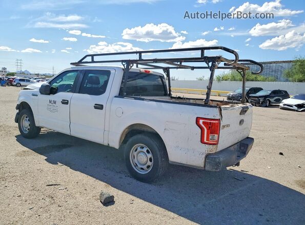 1FTEW1C89HKC83834 2017 FORD F150 White Tył lewy