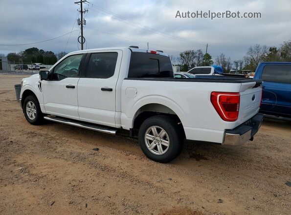 1FTEW1C8XPFB51219 2023 FORD F150 White Հետևի ձախ