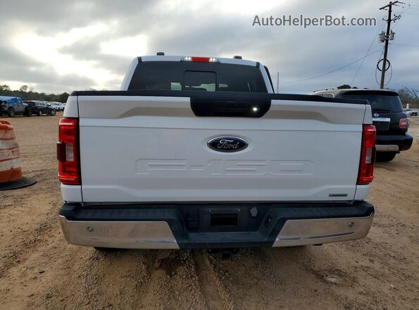 1FTEW1C8XPFB51219 2023 FORD F150 White Հետևի տեսք