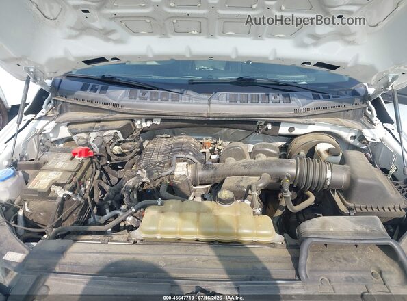 1FTEW1CB0KKD52302 2019 FORD F150 White Rear view