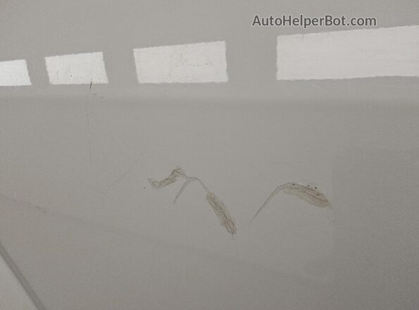 1FTEW1CF0GFA37115 2016 FORD F150 White 