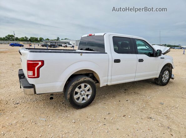1FTEW1CF7HKC75651 2017 FORD F150 White Tył prawy