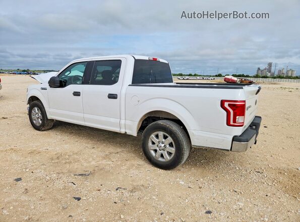 1FTEW1CF7HKC75651 2017 FORD F150 White Tył lewy