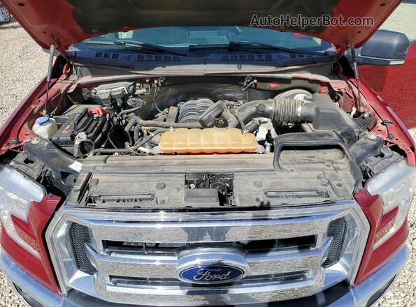 1FTEW1CF8GKE72259 2016 FORD F150 Red Rear interior view