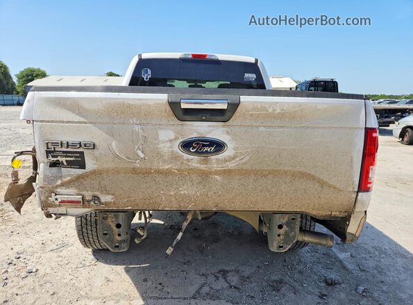 1FTEW1CF8HKE49517 2017 FORD F150 White Rear view