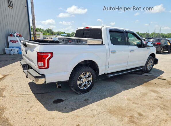 1FTEW1CG2GKF29659 2016 FORD F150 White Tył prawy