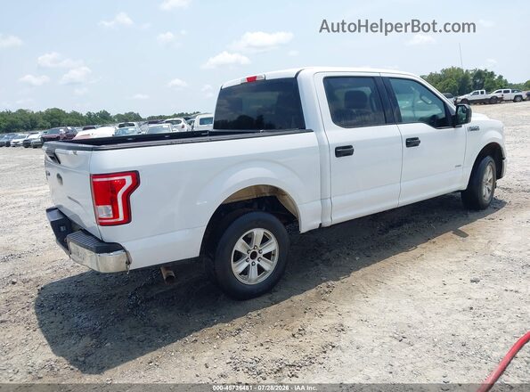 1FTEW1CG4HKC84641 2017 FORD F150 White უკანა მარჯვენა