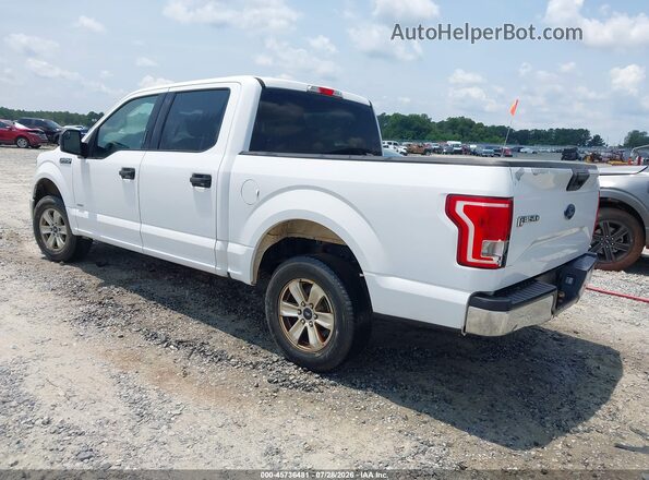 1FTEW1CG4HKC84641 2017 FORD F150 White უკანა მარცხენა