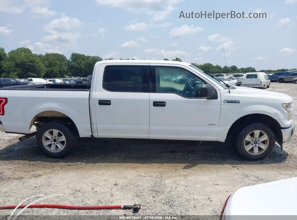 1FTEW1CG4HKC84641 2017 FORD F150 White უკანა სალონის ხედი