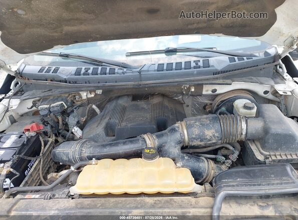 1FTEW1CG4HKC84641 2017 FORD F150 White უკანა ხედი