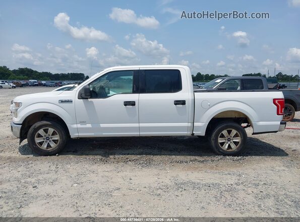 1FTEW1CG4HKC84641 2017 FORD F150 White სალონის 360-გრადუსიანი ხედი