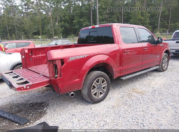 1FTEW1CG7HFA41270 2017 FORD F150 Maroon Trasero derecho