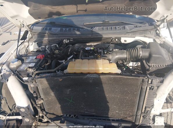 1FTEW1CP1JKC43616 2018 FORD F150 White Widok z tyłu