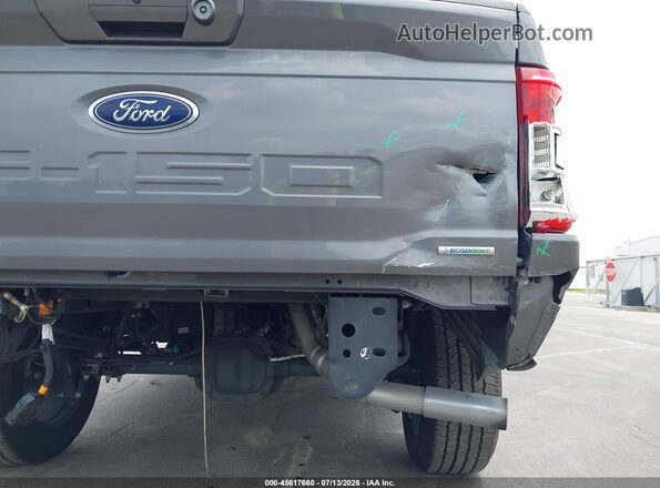 1FTEW1CP1MFD08560 2021 FORD F150 Gray 