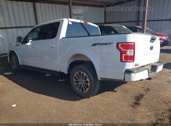 1FTEW1CP2KKE33541 2019 FORD F150 White Rear left
