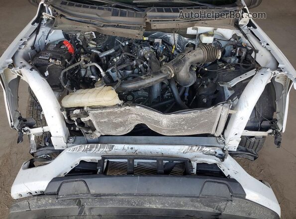 1FTEW1CP3PKD63703 2023 FORD F150 Белый Вид задней части салона