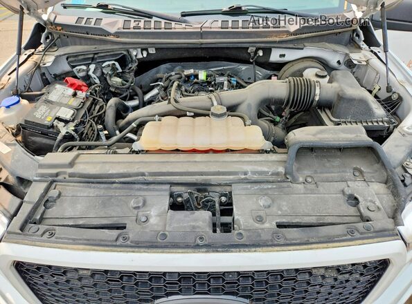 1FTEW1CP4KFA31741 2019 FORD F150 White Rear interior view