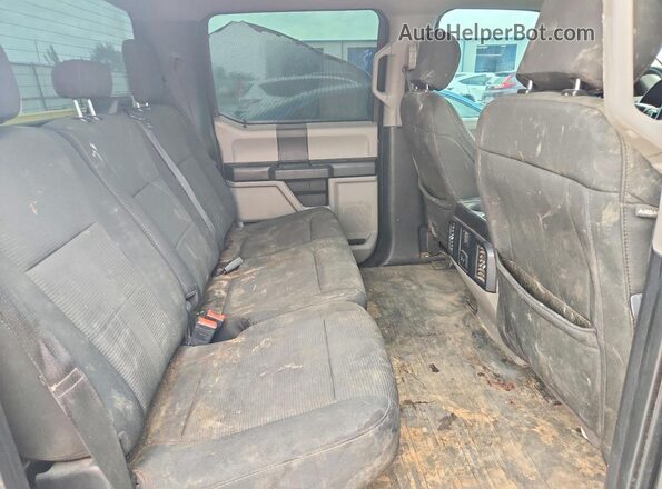 1FTEW1CP4LKD96106 2020 FORD F150 Gray Вид задніх сидінь
