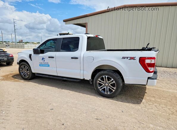1FTEW1CP4PKF10966 2023 FORD F150 White უკანა მარცხენა