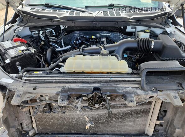 1FTEW1CP4PKF10966 2023 FORD F150 White უკანა სალონის ხედი