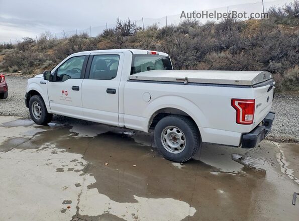 1FTEW1CP5GFA55649 2016 FORD F150 White Trasero izquierdo