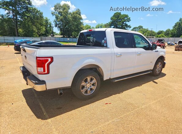 1FTEW1CP5HKC90531 2017 FORD F150 White Tył prawy