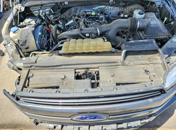 1FTEW1CP5KKF00648 2019 FORD F150 Gray Rear interior view