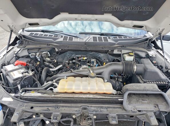 1FTEW1CP5MKE33942 2021 FORD F150 Белый Вид задней части салона