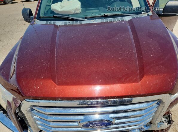 1FTEW1CP7HKC83807 2017 FORD F150 Темно-бордовый Вид задней части салона
