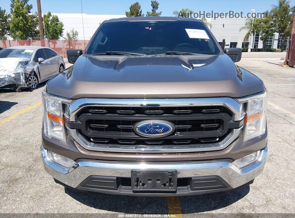 1FTEW1CP7MKE70619 2021 FORD F150 Brown Սալոնի 360 աստիճան տեսք