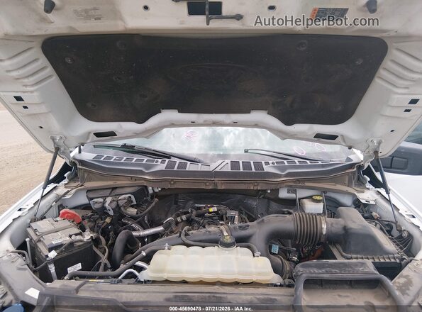 1FTEW1CP7PKD55149 2023 FORD F150 White Rear view