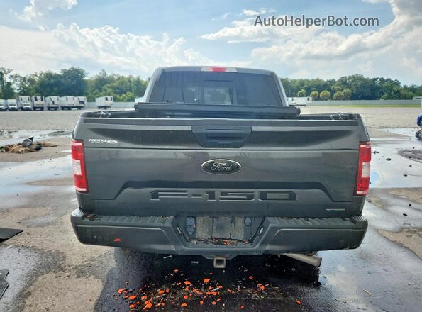 1FTEW1CP8LFC29966 2020 FORD F150 Gray Widok z tyłu