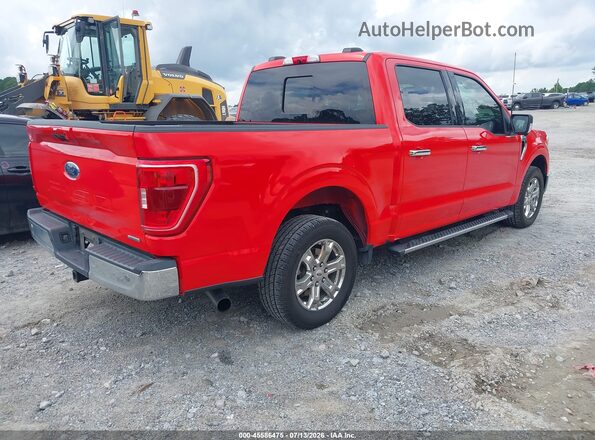1FTEW1CP8MKF12084 2021 FORD F150 Red Հետևի աջ