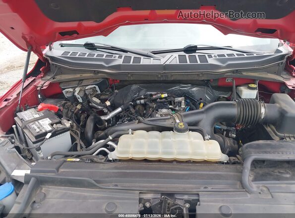 1FTEW1CP8MKF12084 2021 FORD F150 Red Հետևի տեսք