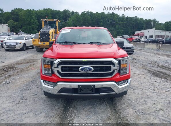 1FTEW1CP8MKF12084 2021 FORD F150 Red Սալոնի հետևի տեսք