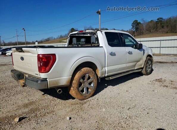 1FTEW1CP8PKF18990 2023 FORD F150 White Tył prawy