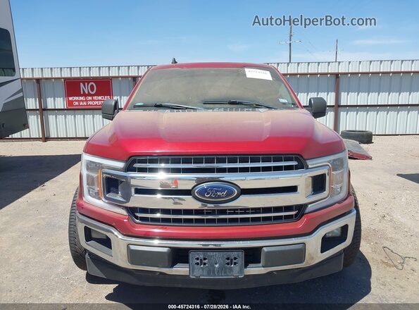 1FTEW1CP9KKC96503 2019 FORD F150 Maroon უკანა სალონის ხედი