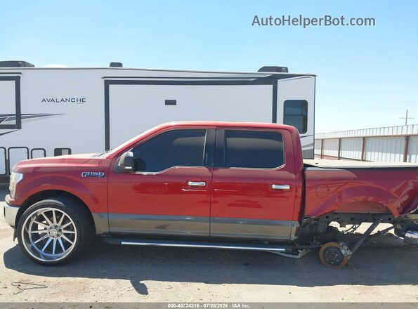 1FTEW1CP9KKC96503 2019 FORD F150 Maroon 