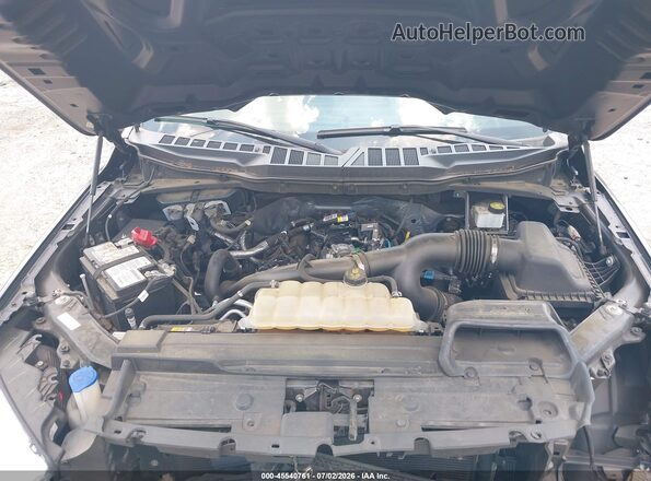 1FTEW1CP9MFB75126 2021 FORD F150 Черный Вид сзади